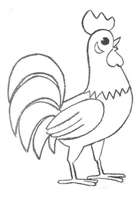 Как нарисовать ПЕТУХА / Раскраска ПЕТУШОК малышам / рисунки для срисовки /  How to draw a Rooster - YouTube