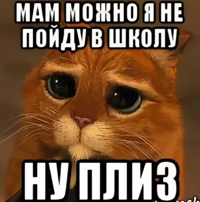 Что скрывается за словами: Не хочу в школу... | Детский психолог на связи |  Дзен