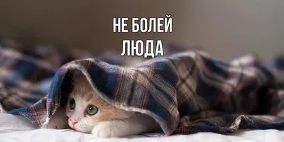 Доброе утро, не болей! Фото на разные тематики - pictx.ru