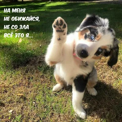 Ridero Не обижайся на меня, Матрешка!