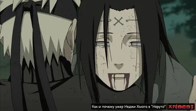 Мини Неджи в хорошем качестве | Personagens de anime, Desenho de anime,  Anime naruto