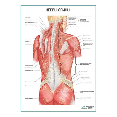 Концерт группы «Нервы» 2021