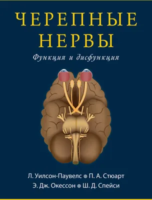 Фиточай алтай № 33 крепкие нервы с валерианой 2 гр 20 шт. ф/п - цена 109  руб., купить в интернет аптеке в Москве Фиточай алтай № 33 крепкие нервы с  валерианой 2 гр 20 шт. ф/п, инструкция по применению