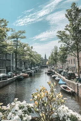 Письмо 13: Переехать в Нидерланды - Голландия сквозь дырки от сыра