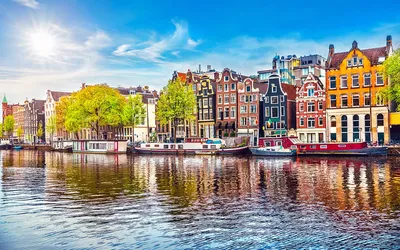 6 причин поехать учиться в Нидерланды