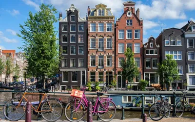 Нидерланды: все о стране, города, места, люди, еда, острова, фауна,  поездка, связь | Smapse