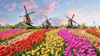 Информация для туристов про Нидерланды | SkyBooking