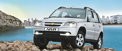 Защита порогов с алюм. площадкой Ø51мм (ППК) CHEVROLET Niva 2009-2020/ LADA  Niva 2020-/ LADA Niva Travel 2021-