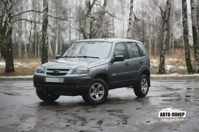 НОВАЯ ЛАДА НИВА 4х4 (ex Chevrolet Niva) 2020-2021 года: конец Toyota Land  Cruiser и УАЗ Патриот - YouTube