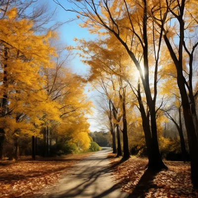 Осень ноябрь природа (94 фото) - 94 фото