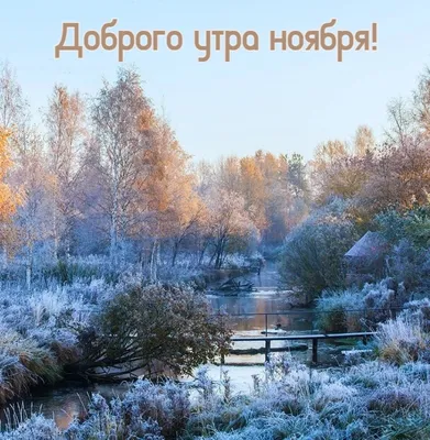 Ноябрь. Первый снег. Озеро Пюхаярве. Эстония | Пикабу