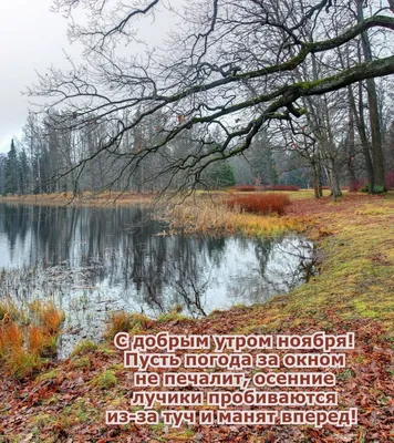 Осень. Природа. Дождь. #Астрахань #осень #дождь #ноябрь #природа #пейзаж  #краскиосени #astrakhan #astrakhan_live #autumn #november #nature… |  Instagram