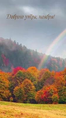 Бесплатное изображение: Ноябрь, на берегу озера, осень, цвета, оранжевый  желтый, пейзаж, идиллический, вода, деревья, озеро