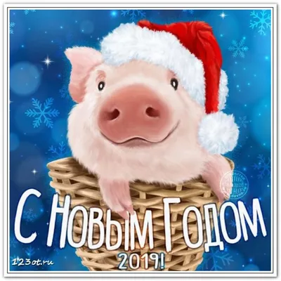 Картинки новый год свиньи обои