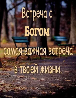 Свершилось | True words, Words, Quotations