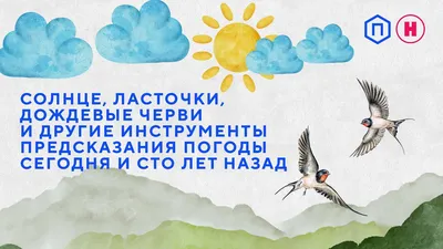 Теплая и дождливая погода. Узгидромет рассказал о погоде на неделе ,  Новости Узбекистана