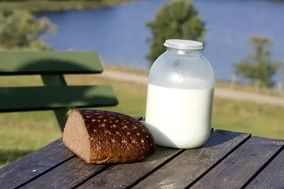 Аптека Dr.Holland www.doctorholland.ru - Аюрведа о пользе Молока. Согласно  Аюрведе, молоко и такие молочные продукты как масло гхи и  свежеприготовленный йогурт, считаются очень важными для питания. Молоко  способствует формированию тонких тканей в