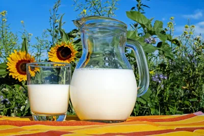 Молоко: польза или вред для организма человека, какое молоко полезнее