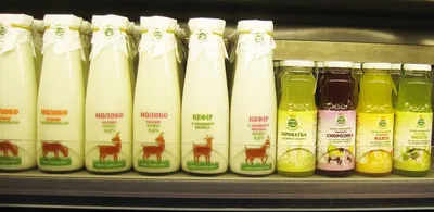 Молоко: польза, вред, калорийность | РБК Life