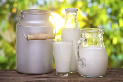 11 мифов о молоке, которые пора развенчать / AdMe