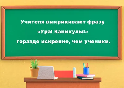 Идем на погружение: готовы ли эстонские школы принимать еще больше  русскоязычных учеников? - Delfi RUS
