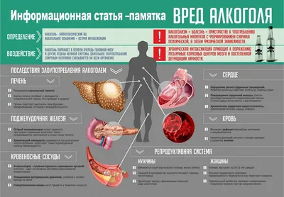 Плакат-таблица Statuya по ОБЖ Вред курения и алкоголя (1000x700 мм) –  выгодная цена – купить товар Плакат-таблица Statuya по ОБЖ Вред курения и  алкоголя (1000x700 мм) в интернет-магазине Комус