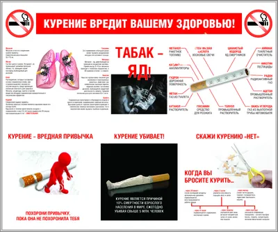 Здоровый образ жизни :: Администрация поселка Кедровый Красноярского края