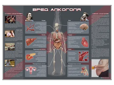 Доказанные факты о вреде употребления алкоголя