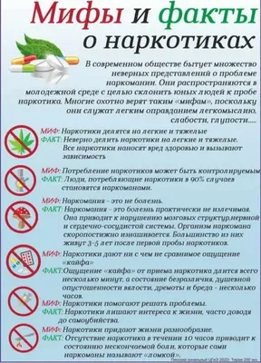 Информация о вреде алкоголя на подростка - Поставщики социальных услуг  Волгоградской области