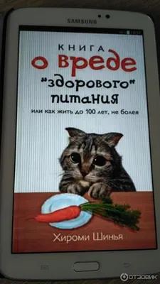 Правда о пальмовом масле в продуктах: нутрициолог развеяла 5 мифов о его вреде  здоровью | Ужин отдай подруге | Дзен