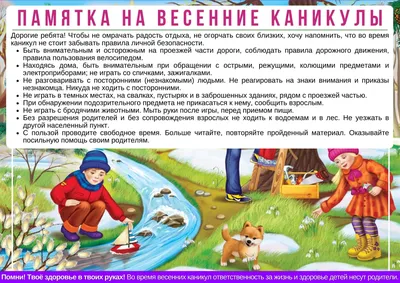 Здоровье детей — 1 сентября 2015-10 — Ярославский педагогический университет