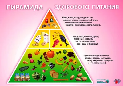 О здоровом питании школьников и введении бесплатного обеспечении детей  начальных классов горячим питанием - Центр гигиены и эпидемиологии в  Московской области