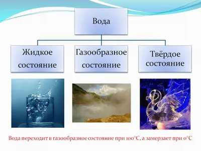 Вода и ее значение в природе. 5-й класс