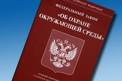 Экология и охрана природы: новые методы защиты окружающей среды и  сохранения биоразнообразия | Наука в кубе | Дзен