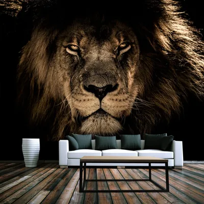 Обои фотообои фотообои 3d на стену обои флизелиновые фото обои на стену  Лев, царь зверей на темном фоне. | AliExpress