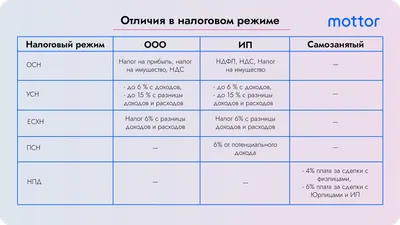 Что выбрать ИП или ООО