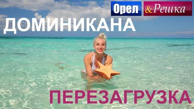 Монетки \"Орел - Решка\" - Викиники.рф - интернет-магазин праздничной  атрибутики