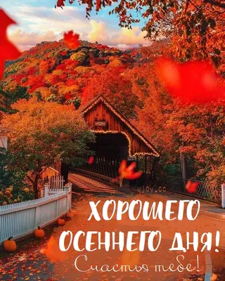 Шикарное пожелание Доброго, Осеннего Дня! Красивая песня \"Осень\" в  исполнении автора Фёдора Хлыбор! - YouTube