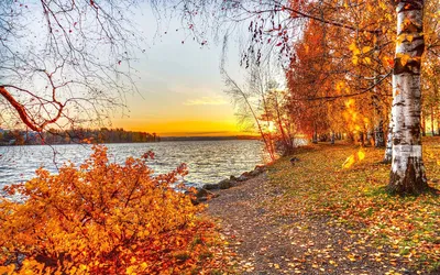 фото осень на рабочий стол на весь экран: 12 тыс изображений найдено в  Яндекс.Картинках | Autumn landscape, Landscape wallpaper, Landscape pictures