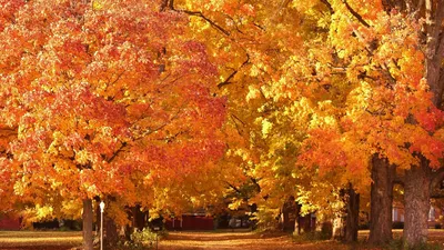 Красоты природы осенью-ОБОИ- на рабочий стол-Большие бесплатно