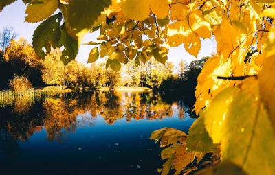 Золотая осень картинки (2560×1600) – Заставки на рабочий стол осень