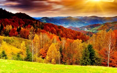 Обои на рабочий стол Золотая осень в долине с высокими деревьями,  небольшими скалистыми горами и домишками, обои для рабочего стола, скачать  обои, обои бесплатно