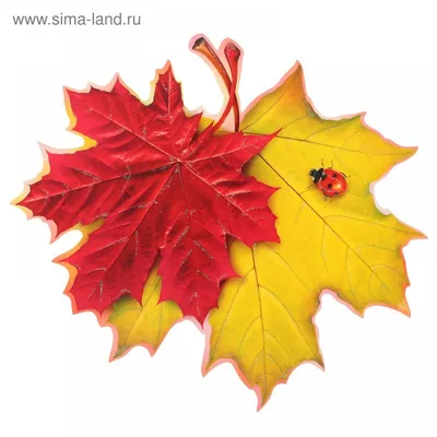 Осенние листики (41 фото) - 41 фото