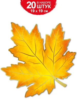 плакат на стену набор осенние листья кленовый лист для школы ТМ Империя  поздравлений 33334364 купить в интернет-магазине Wildberries