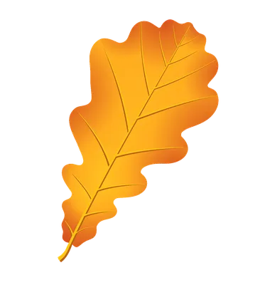 Осенние листья для оформления школьной доски или группы детского сада на 1  сентября | Иллюстрации листьев, Гигантские бумажные цветы, Осенние листья