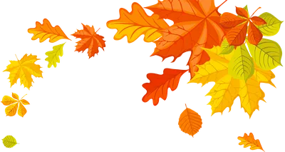 Лист Осенние листья, Лист, лист, оранжевый, презентация png | PNGWing