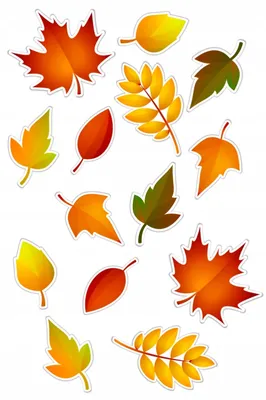 плакат на стену набор осенние листья кленовый лист для школы ТМ Империя  поздравлений 33334364 купить в интернет-магазине Wildberries
