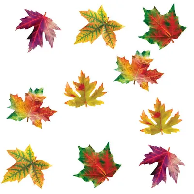 Декор Осенние листья (id 103822145), купить в Казахстане, цена на Satu.kz