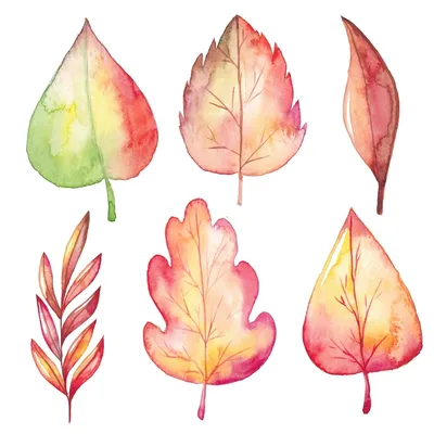 Современный Шаблон Дизайна С Красными Осенними Листьями Осенние Листья Для  Оформления Дизайна — стоковая векторная графика и другие изображения на  тему Абстрактный - iStock