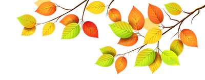 цветной измененный фон листвы. Осенние или осенние листья и концепция дня  благодарения. наложение тени. Иллюстрация штока - иллюстрации насчитывающей  листья, октябрь: 259224062